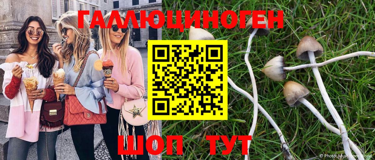 Псилоцибиновые грибы Psilocybe Семёнов