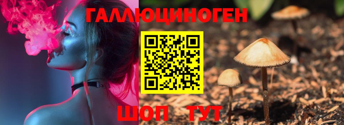 Галлюциногенные грибы GOLDEN TEACHER  Вход с VPN  Семёнов 